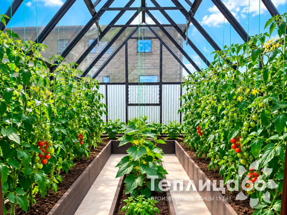 Теплица Рада Гарденикс PRO 90° под стекло, ширина 3,0 м. (калькулятор)